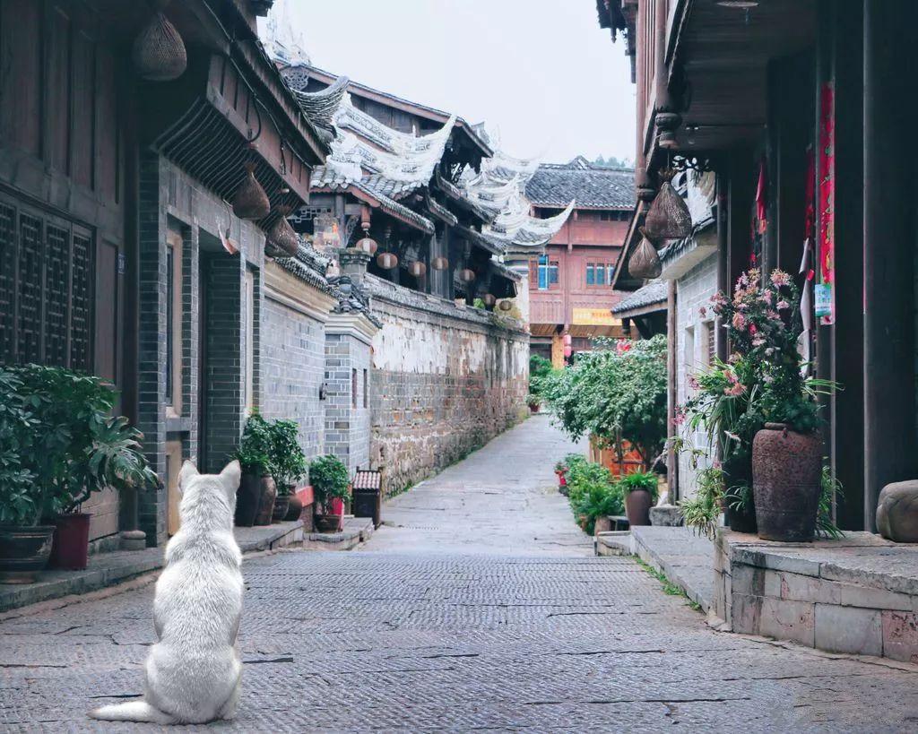 杀戮尖塔